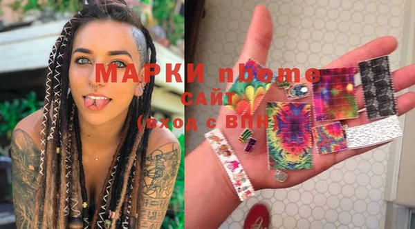 стаф Алзамай
