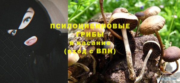крисы Пролетарск